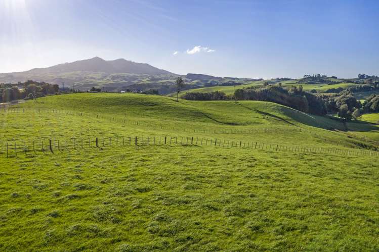 337 Te Papatapu Road Raglan_10