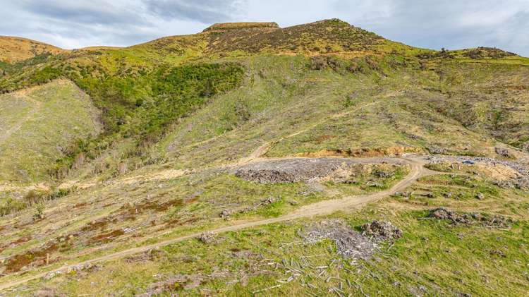 1301 Western Valley Road Port Levy_18