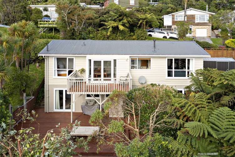 23 Euston Road Wilton_18