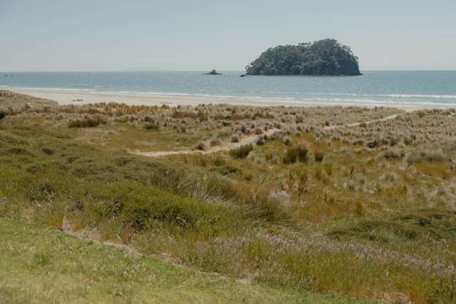 Lot Lot 2/41 Grove Avenue Mt Maunganui_1