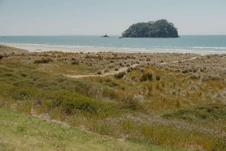 Lot Lot 2/41 Grove Avenue Mt Maunganui_1