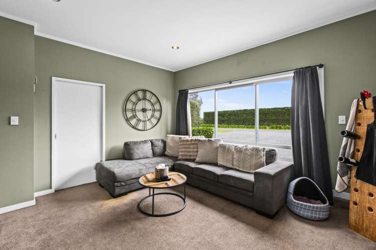 33 Pitt Street Clive_12
