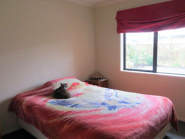 16 Vogel Place Te Aroha_11