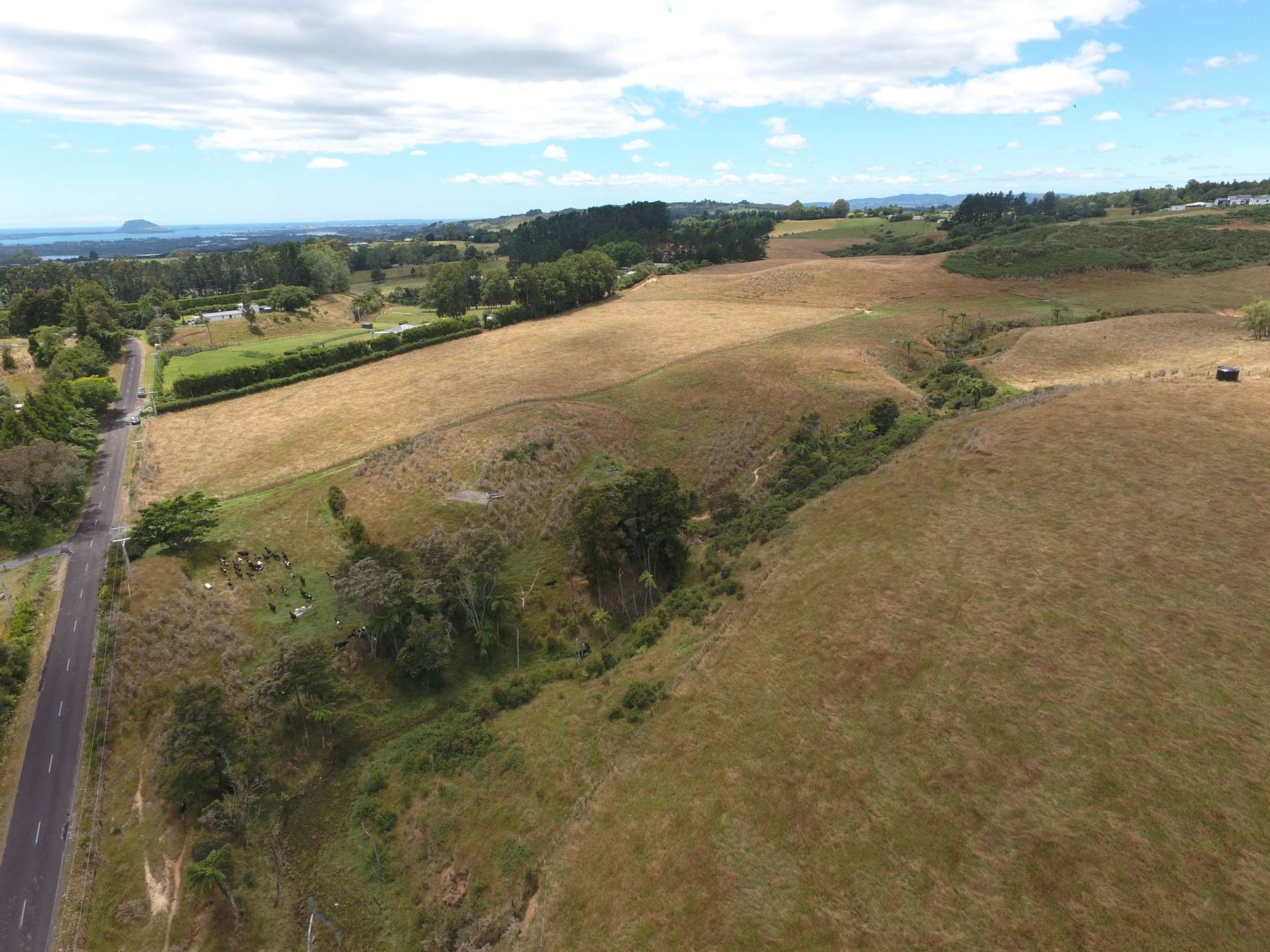 20 Laurel Drive Whakamarama_0