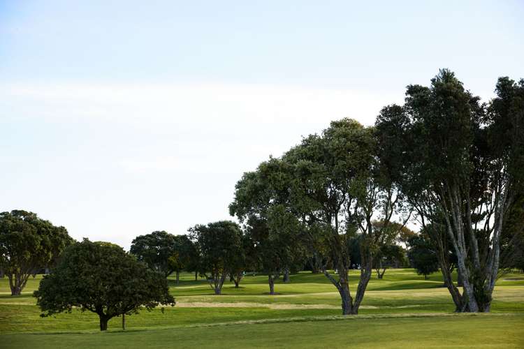 184 Oceanbeach Road Mount Maunganui_26