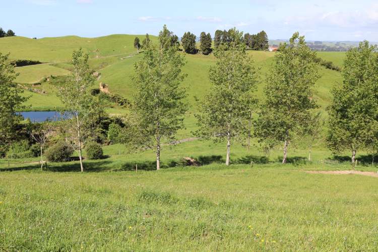 346 Lincoln Road Inglewood_1