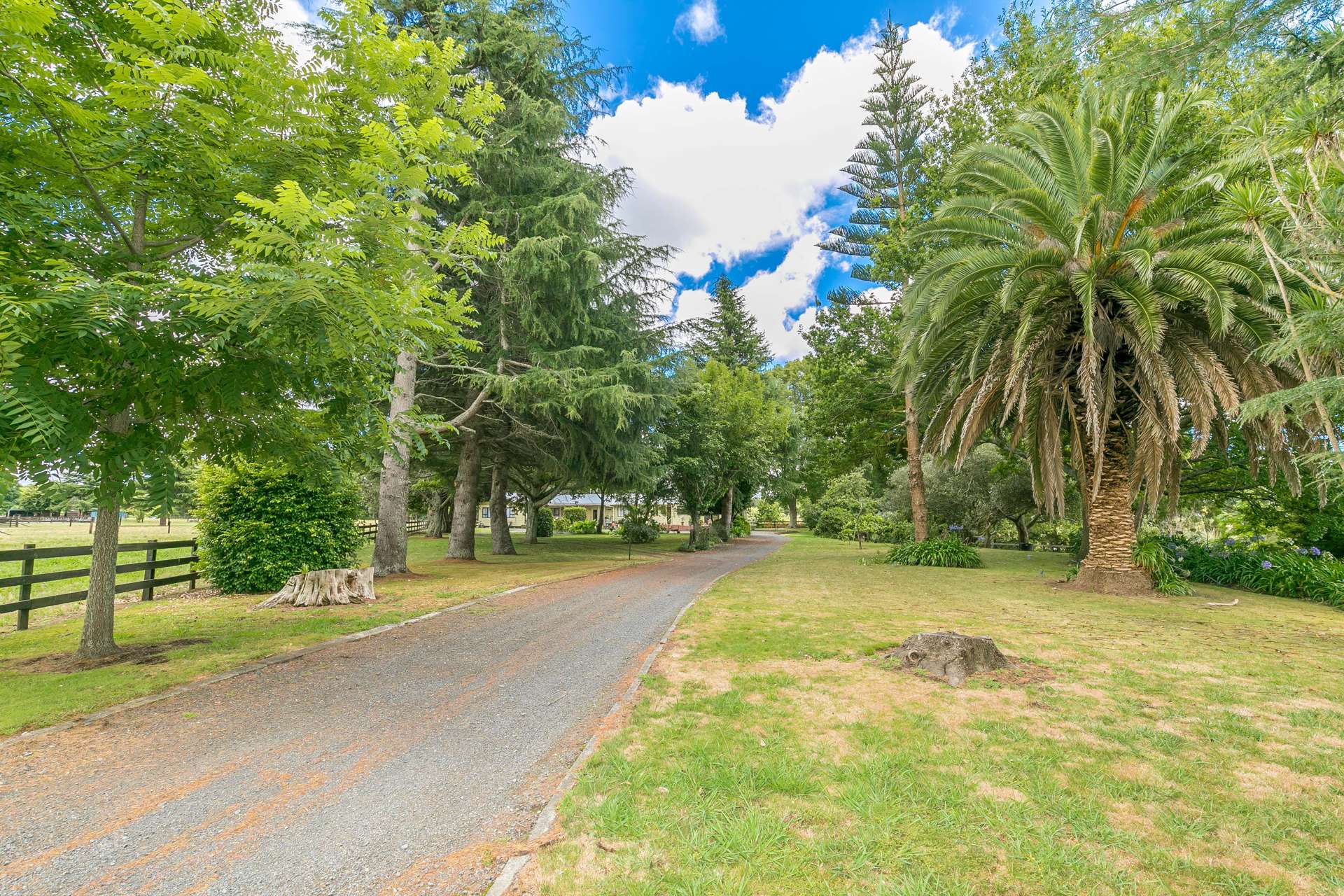 202 Pickering Road Tamahere_0