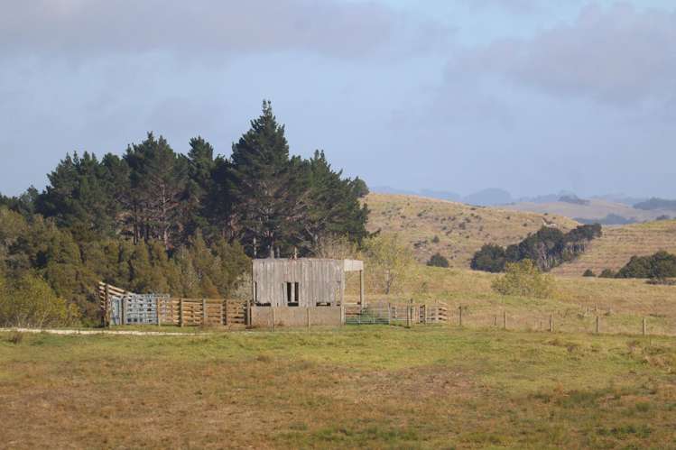 331 Franklin Road Paparoa_16