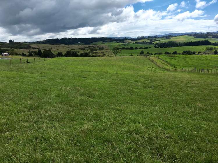 244 Devich Road Mangawhai_1