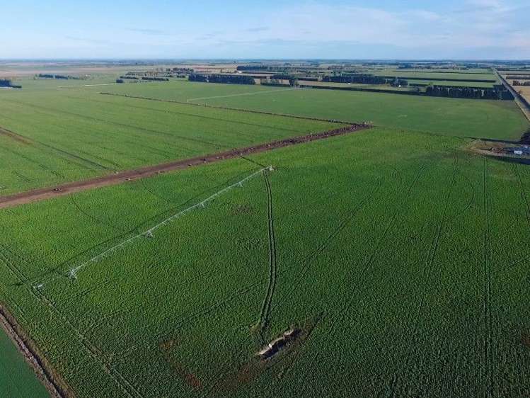 1347 Rakaia Highway Chertsey_6