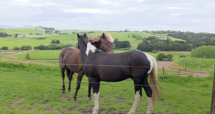 378 South Road Waipu_29