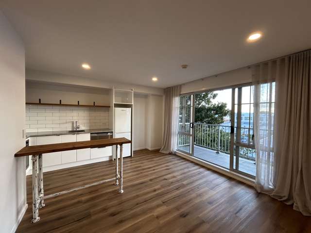 3M/3 Keystone Avenue Mount Roskill_2