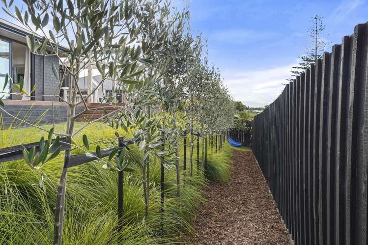 6 Pataki Place Omokoroa_28