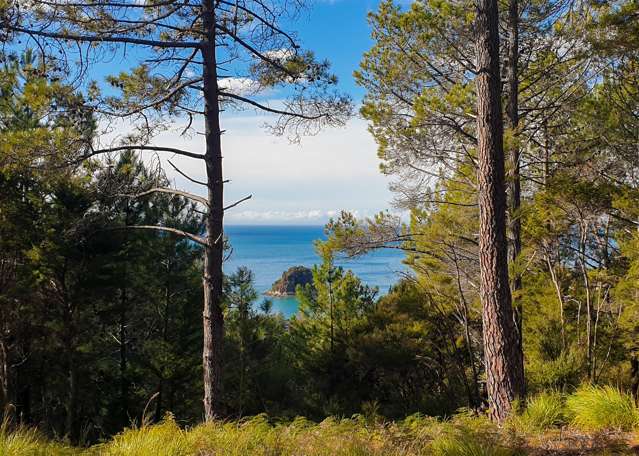 Lot 1 182 Kaiteriteri-Sandy Bay Road_3