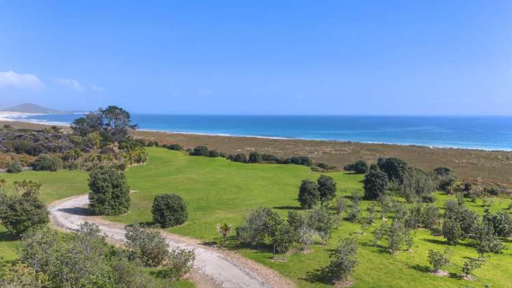 Lot 1/449 Matai Bay Road Karikari Peninsula_17