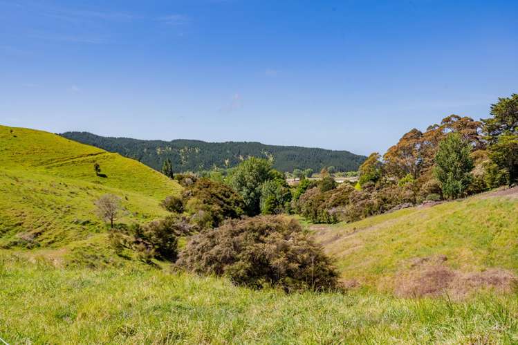 Lot 8 Eskridge Drive Eskdale_11