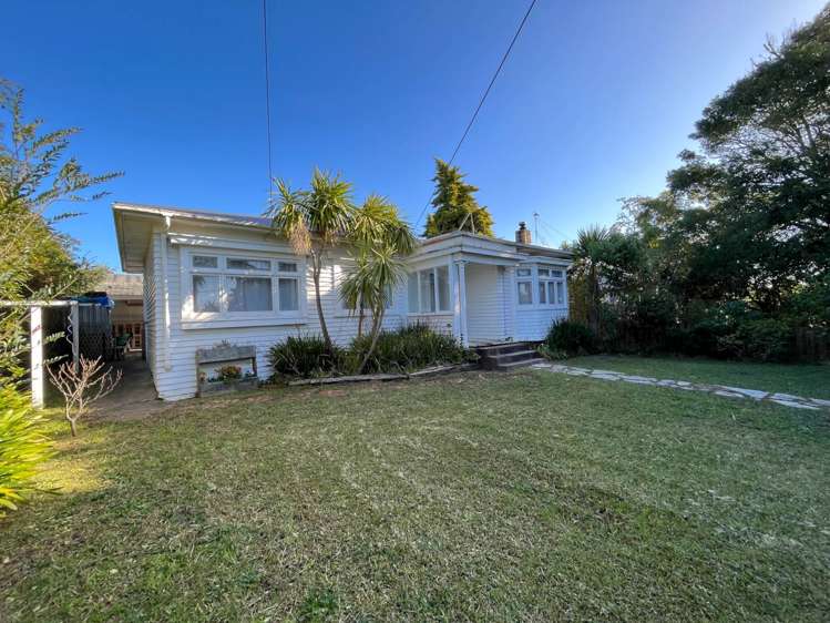 28 Haig Avenue Mount Roskill_0