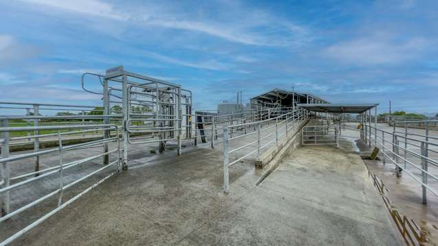 316 Pukahu Road Paeroa_2