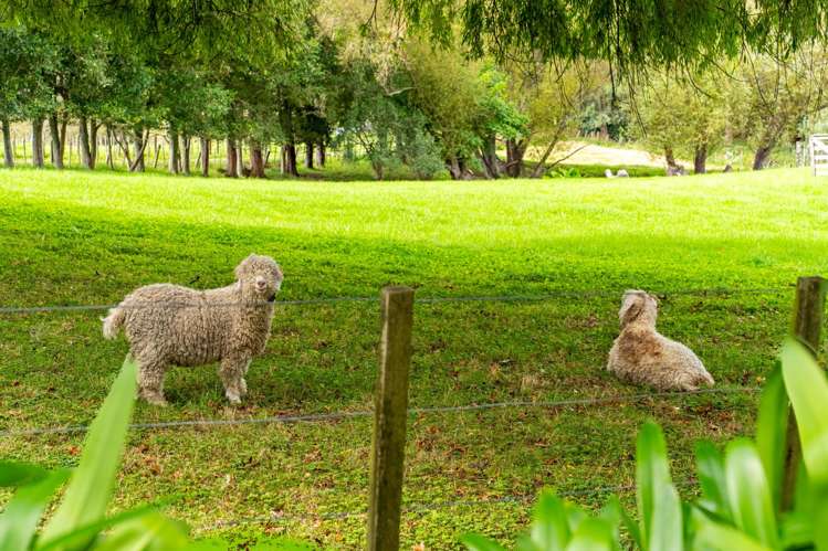 2239B State Highway 12 Paparoa_42