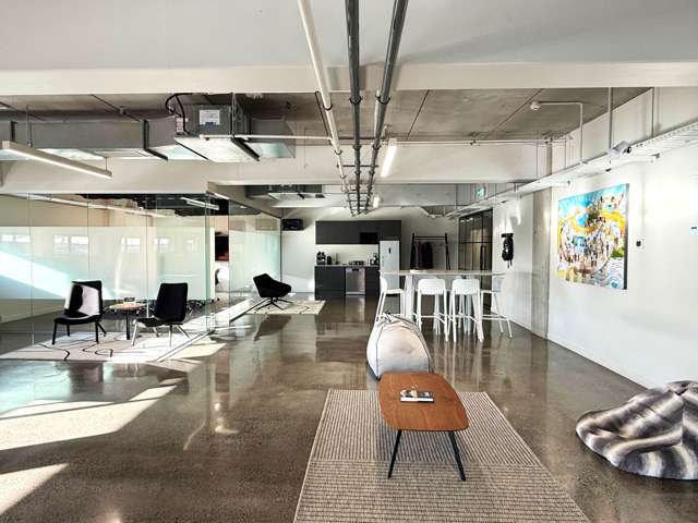 20 Augustus Terrace Parnell_2