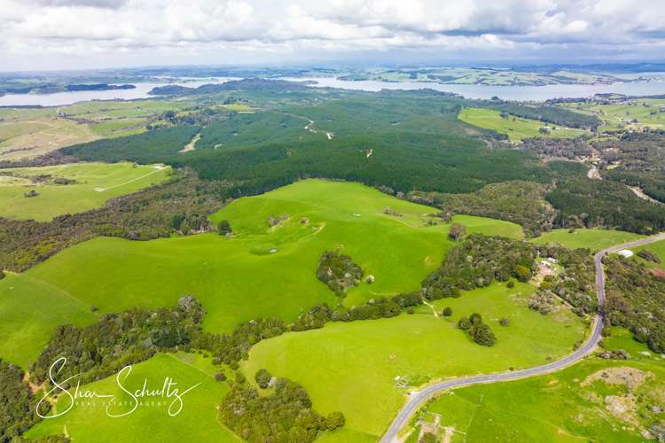 1509 Tinopai Road Tinopai_1