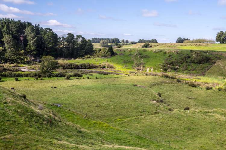 200 Garfield Road Norsewood_5