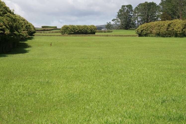 1996 Egmont Road Inglewood_3