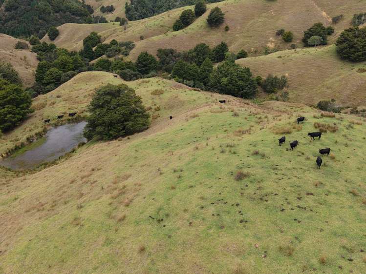 290 Hillcrest Road Waiotira_7
