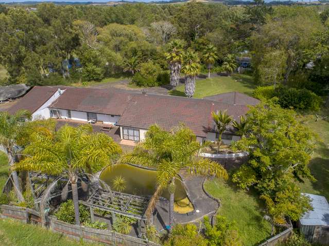 314 Postman Road Dairy Flat_4