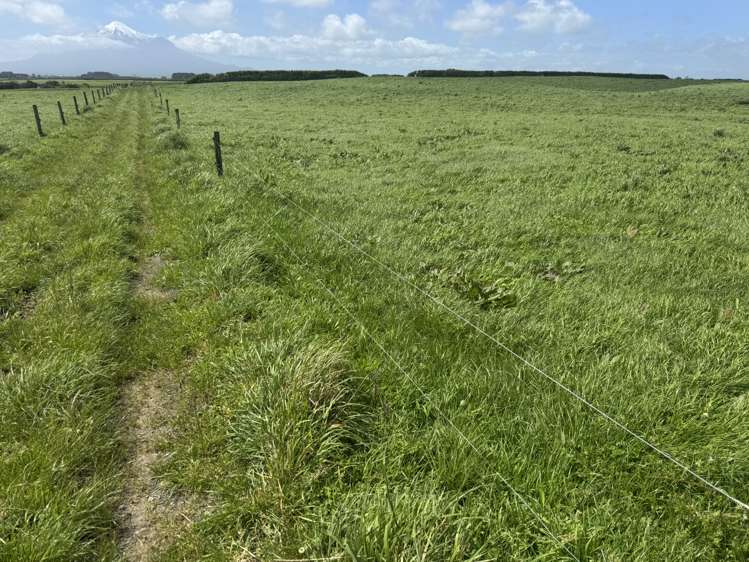 4782 South Road Opunake_10