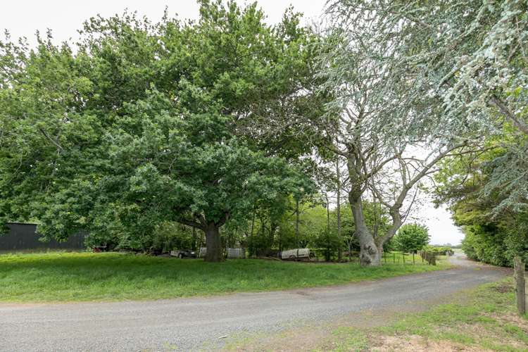 3451 Ohaupo Road Rukuhia_2