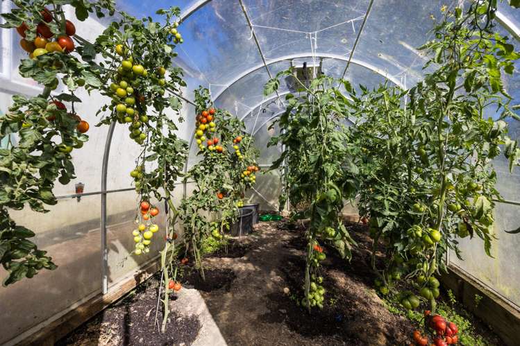 78 Oxley Crescent Broad Bay_12