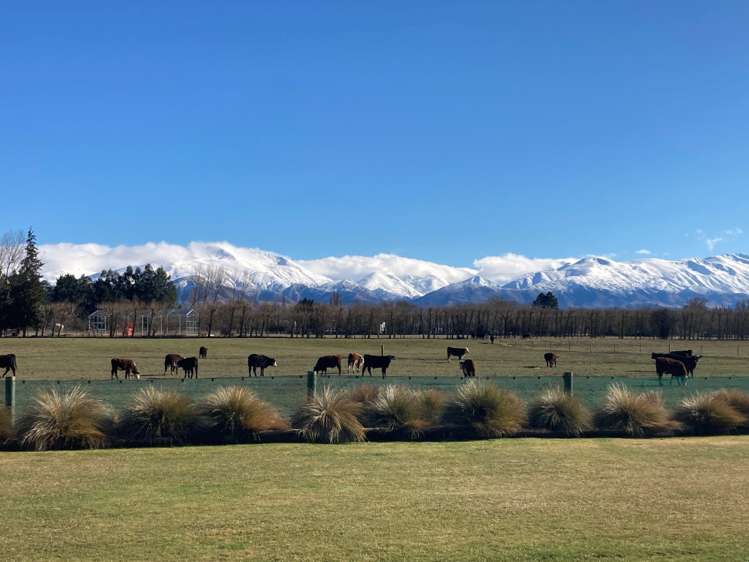 28 Ayr Street Fairlie_10