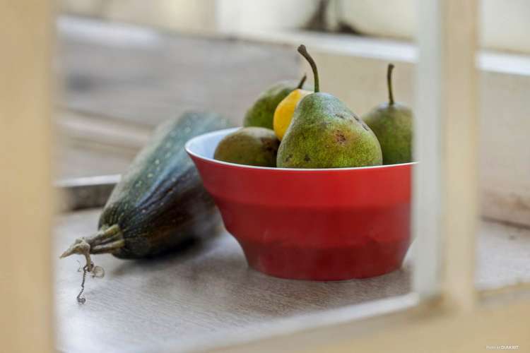 47 Binns Road Waiuku_10