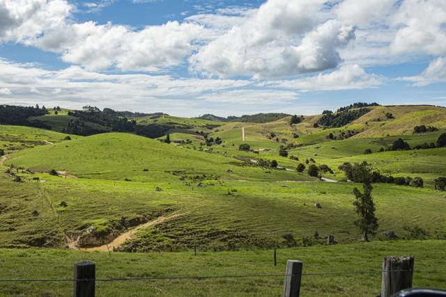 Mine Road Whakapara_3