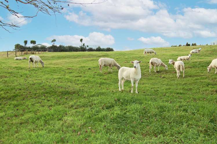 210g Pukenui Road Kaiwaka_4