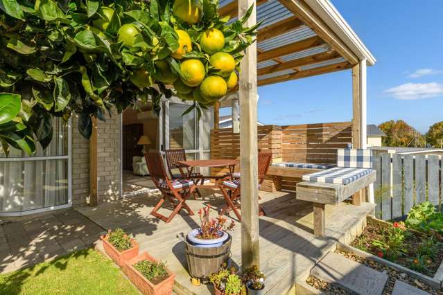 9/492 Otumoetai Road Otumoetai_1