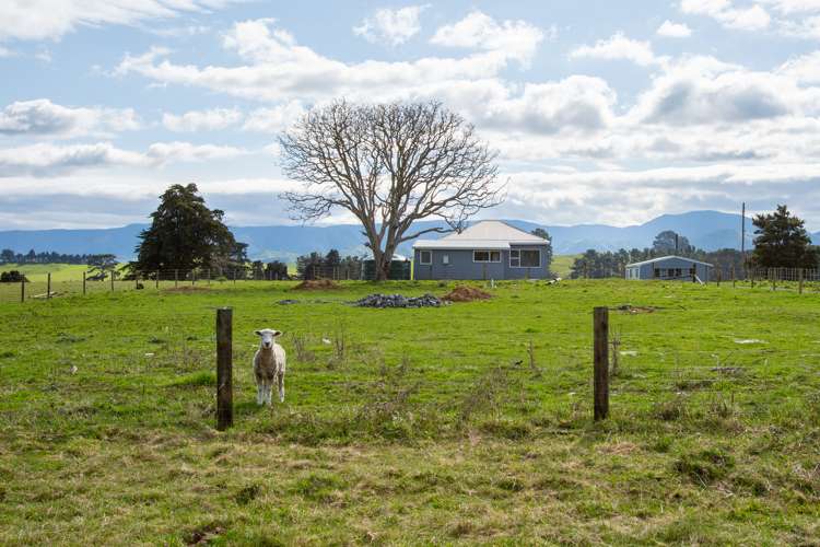 76585 State Highway 2 Rangitikei Surrounds_17