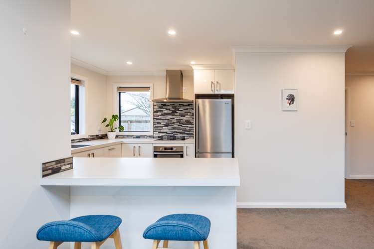 73b Worcester Street Ashhurst_7