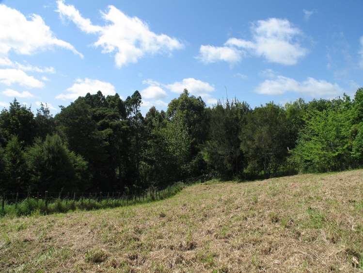 210 Oyster Point Road Kaukapakapa_20