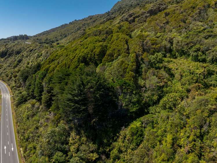 State Highway 6, Fox River Punakaiki_4
