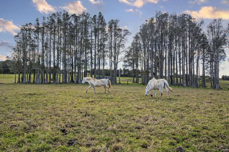 99 Franklin Road Parua Bay_24