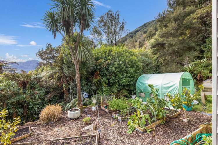 2436 Upper Buller Gorge Westport_14