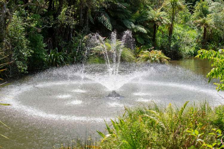 606e Waiuku Road Mauku_22