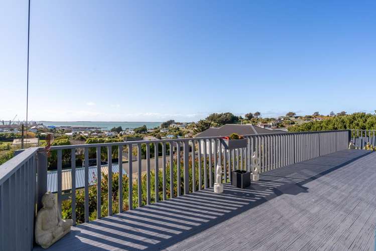 36 Theodore Street Bluff_10