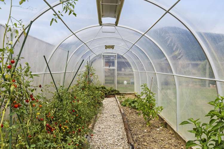 11 Robertson Mill Place Rai Valley_8