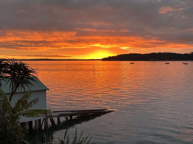 16/67 Sarsfield Street Herne Bay_16