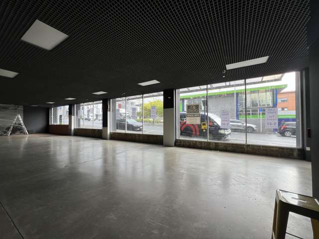 181 Vivian Street Te Aro_2