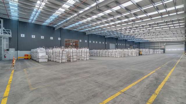 75 Seymour Street Hornby_1