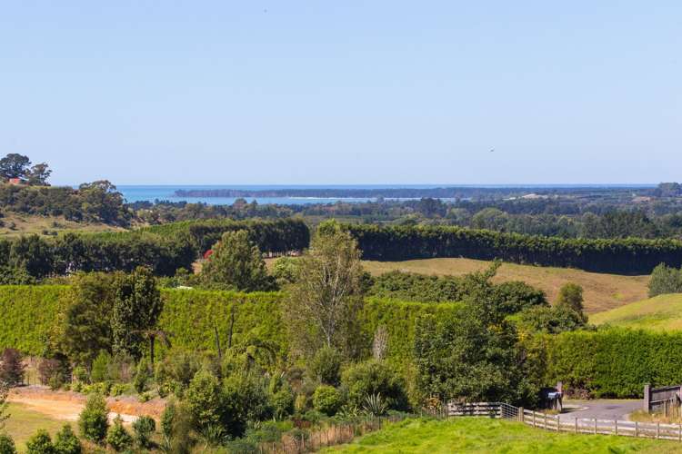 225b Woodland Road Hauraki Surrounds_2